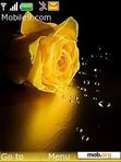 Download mobile theme yellow rose