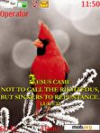 Download mobile theme CardinalS40v3R240