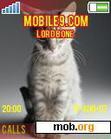 Download mobile theme Cats