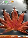 Download mobile theme autumn leaf