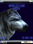 Download mobile theme animated wolf