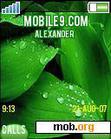 Download mobile theme Green Leaves