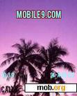 Download mobile theme Palms