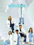 Download mobile theme Greys Anatomy