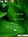 Download mobile theme Swf Green Digital