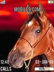 Download mobile theme The Horse