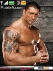 Download mobile theme BATISTA