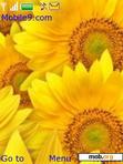 Download mobile theme Sun Flower