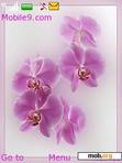 Download mobile theme nice pink flowers