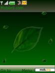 Download mobile theme CD_GreenLeaf