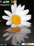 Download mobile theme White flower