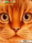 Download mobile theme cats Braldt Bralds'a