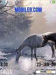 Download mobile theme Horse