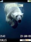 Скачать тему polar bear