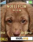 Download mobile theme Dogz