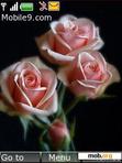 Download mobile theme pink roses