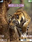 Download mobile theme tiger