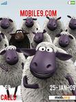 Download mobile theme sheeps