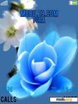 Download mobile theme blue_rose