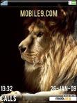 Download mobile theme Lion