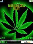 Download mobile theme weed