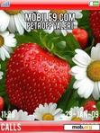 Download mobile theme strawberry