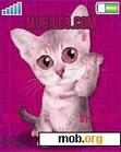 Download mobile theme SWEET CAT