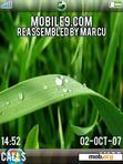 Download mobile theme Vista Leaf 3