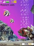 Download mobile theme Aquarium