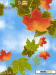 Download mobile theme Autumn Delight