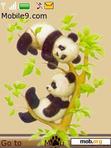 Download mobile theme Pandy Beary