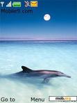 Download mobile theme Dolphin