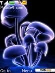 Download mobile theme Mushrooms