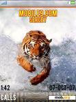 Download mobile theme tiger