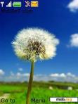 Скачать тему Dandelion