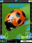 Download mobile theme Animated ladybug