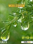 Download mobile theme AFTER RAIN