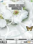 Download mobile theme white flowers