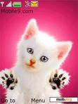 Download mobile theme white cat