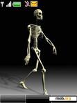 Download mobile theme Animated Skeleton