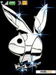 Download mobile theme playboy_collection