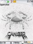 Download mobile theme cancer