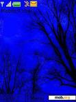 Download mobile theme dark blue forest