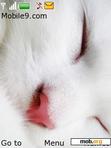 Download mobile theme WhiteKitten