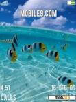 Download mobile theme rybki