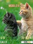 Download mobile theme kitten