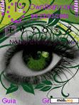 Download mobile theme eye nice