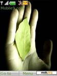 Download mobile theme Greeny Hands