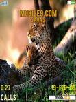 Download mobile theme LEOPARD