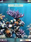 Download mobile theme aquarium